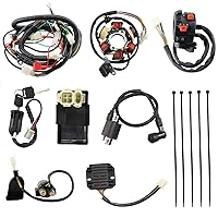 Vista 11 de PRO BAT GY6 150cc Arnés Completo de Cableado Eléctrico con Funda Impermeable CDI Magneto Estator para ATV Quad Go Kart Buggy Scooter Ciclomotor