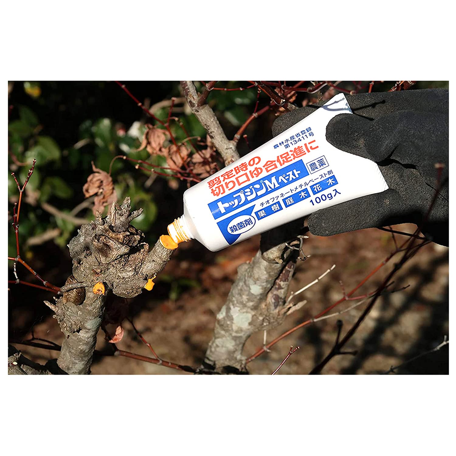 Amazon.co.jp: Sumitomo Chemical Garden Products, Antimicrobial Top