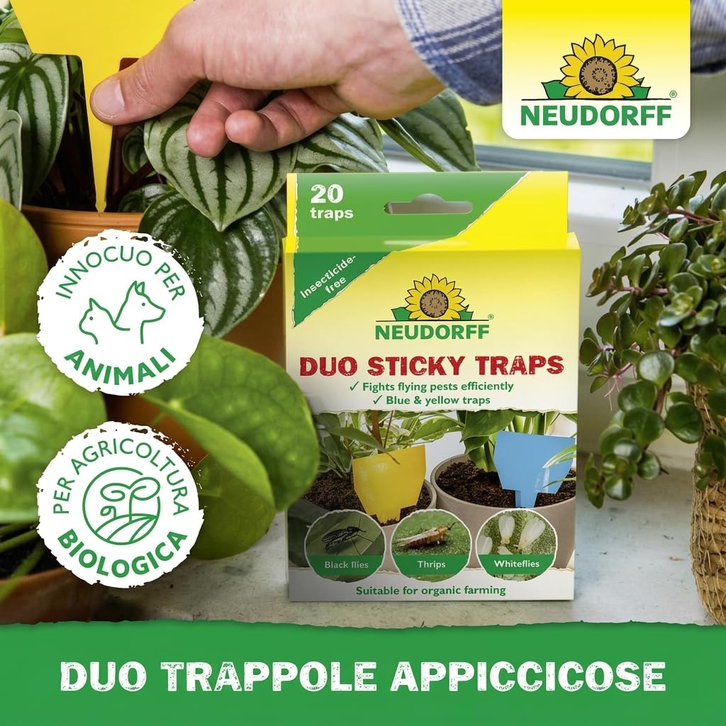 Neudorff Duo Sticky Traps – Trappole adesive blu contro i tripidi e trappole adesive gialle contro i moscerini sciaridi. Senza insetticidi, 20 pezzi