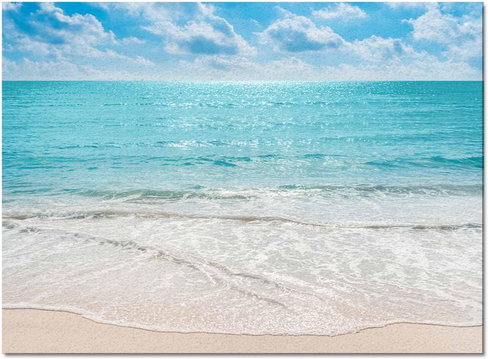 Gsypo Summer Indoor Modern Contemporary Area Rug, Tropical Ocean Beach Sea Water Ultra Soft Non-Shedding Carpet Floor Mats Stain Resistant Living Room Bedroom Area Rugs Washable 4'x6'