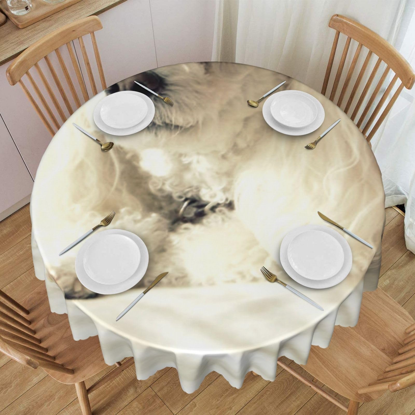 DCEHGEW 60 In Round Tablecloth with Lace, french poodle Printed Oilproof & Washable Fabric Picnic Table Cloth Table Covers