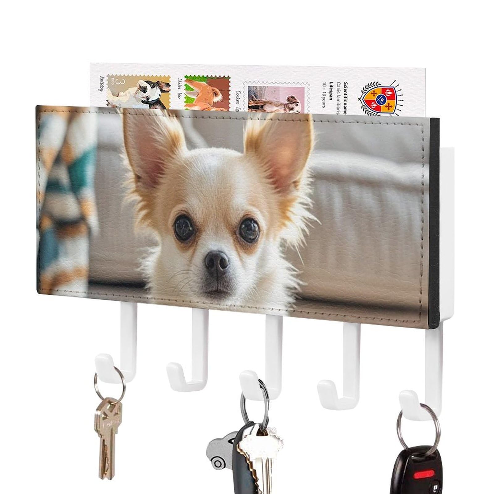 Fekiloot White-Style Cute Chihuahua Key Holder Wall Mount Key Hanger With 5 Hooks Decorative Key Rack Hanging Key Hooks With Mail Organizer Key Holder For Wall Living Room Kitchen Bathroom Hallway White