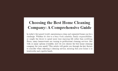 Choosing the Best Home Cleaning Company: A Comprehensive Guide – vue 4
