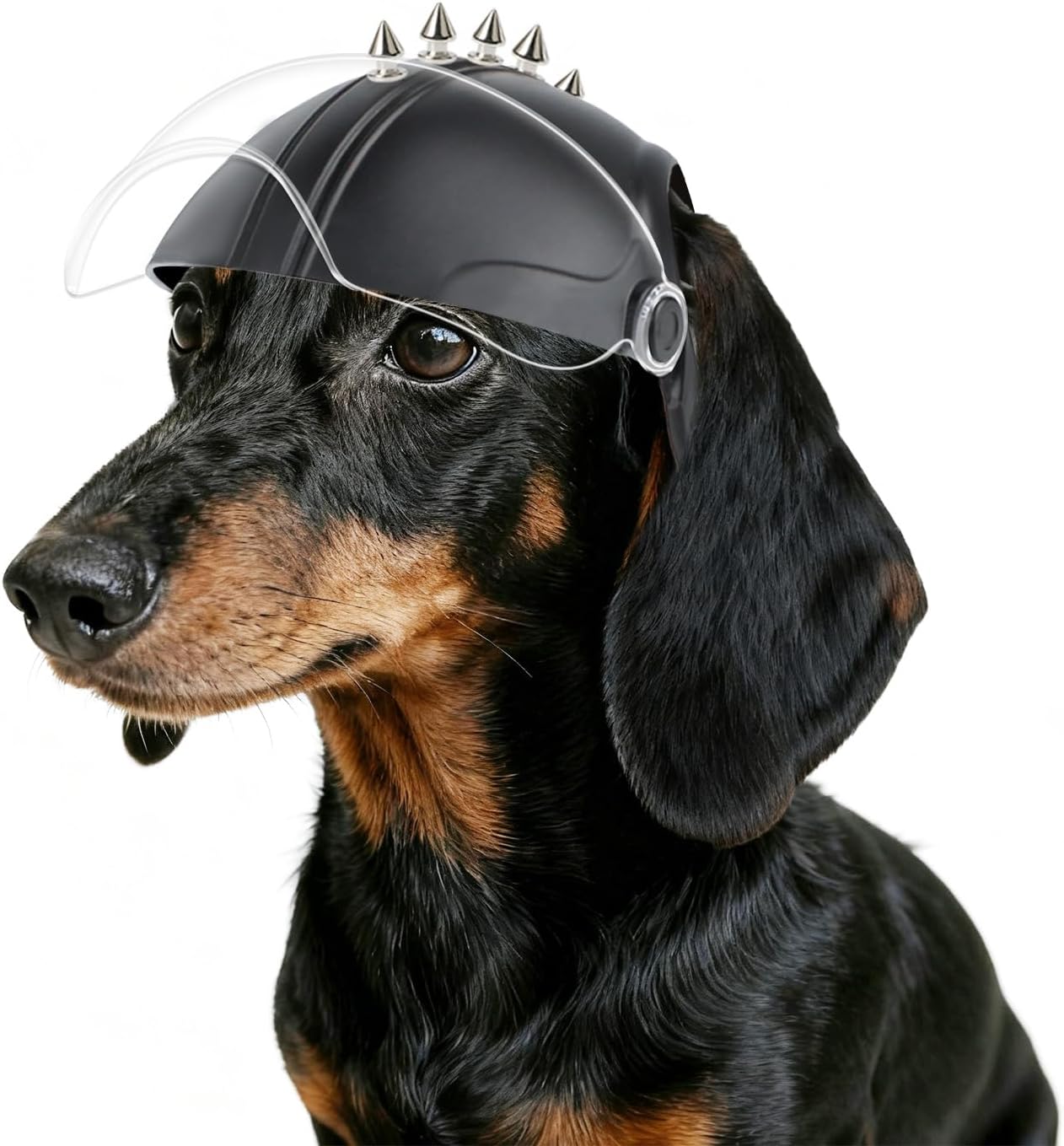 Namsan Dog Helmets for Small Dogs,...