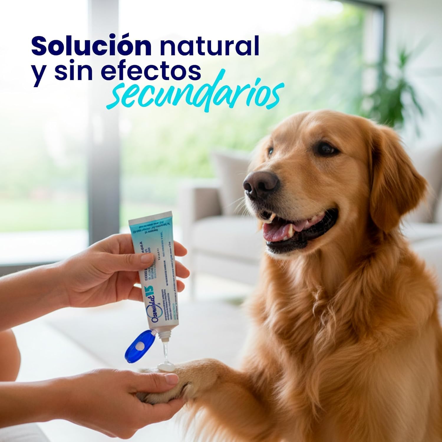 Gel Cicatrizante Ozonizado Para Perros y Gatos Alivia Picor Dermatitis Alergias Heridas y Quemaduras - Cicatrizante Hidrata Sin Dejar Efectos Secundarios Ni Contraindicaciones - 35 ml - 1 Unidad