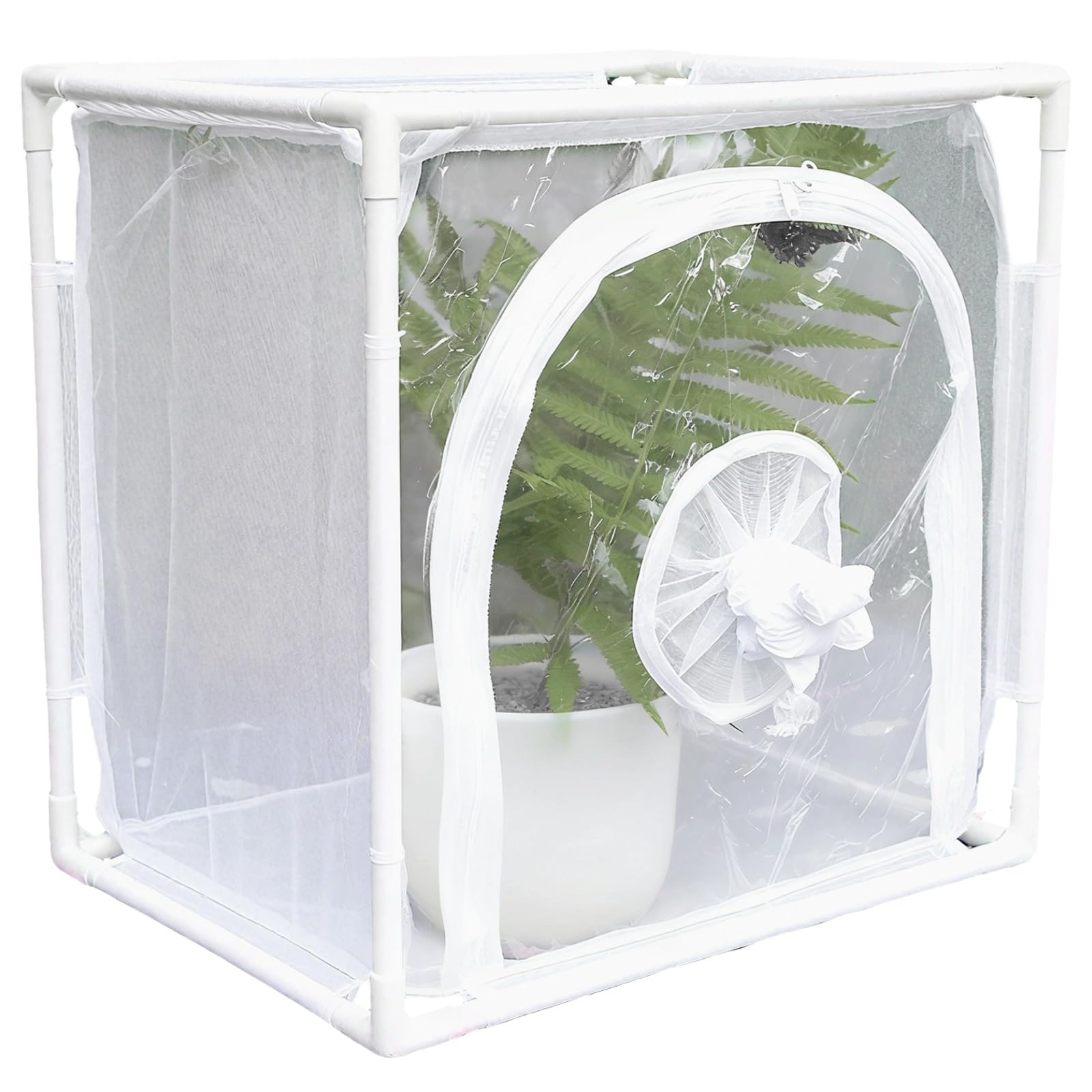 Cage d'habitat papillon idéale pour observer la nature au jardin