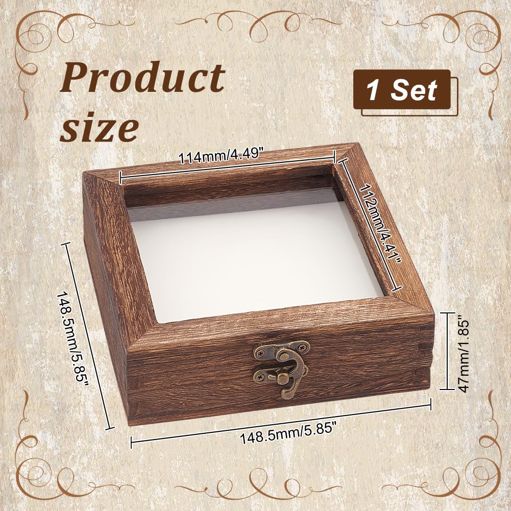 Custodia per esposizione insetti AHANDMAKER con scatola ombra per esposizione insetti con parte superiore trasparente, custodia in legno per conservazione esemplari di insetti per la raccolta di