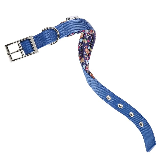 Foto 2 de 2 de Ferplast Collar Perro Daytona Fantasy, Collar Perros Mediano, Collar de Nylon, Acolchado