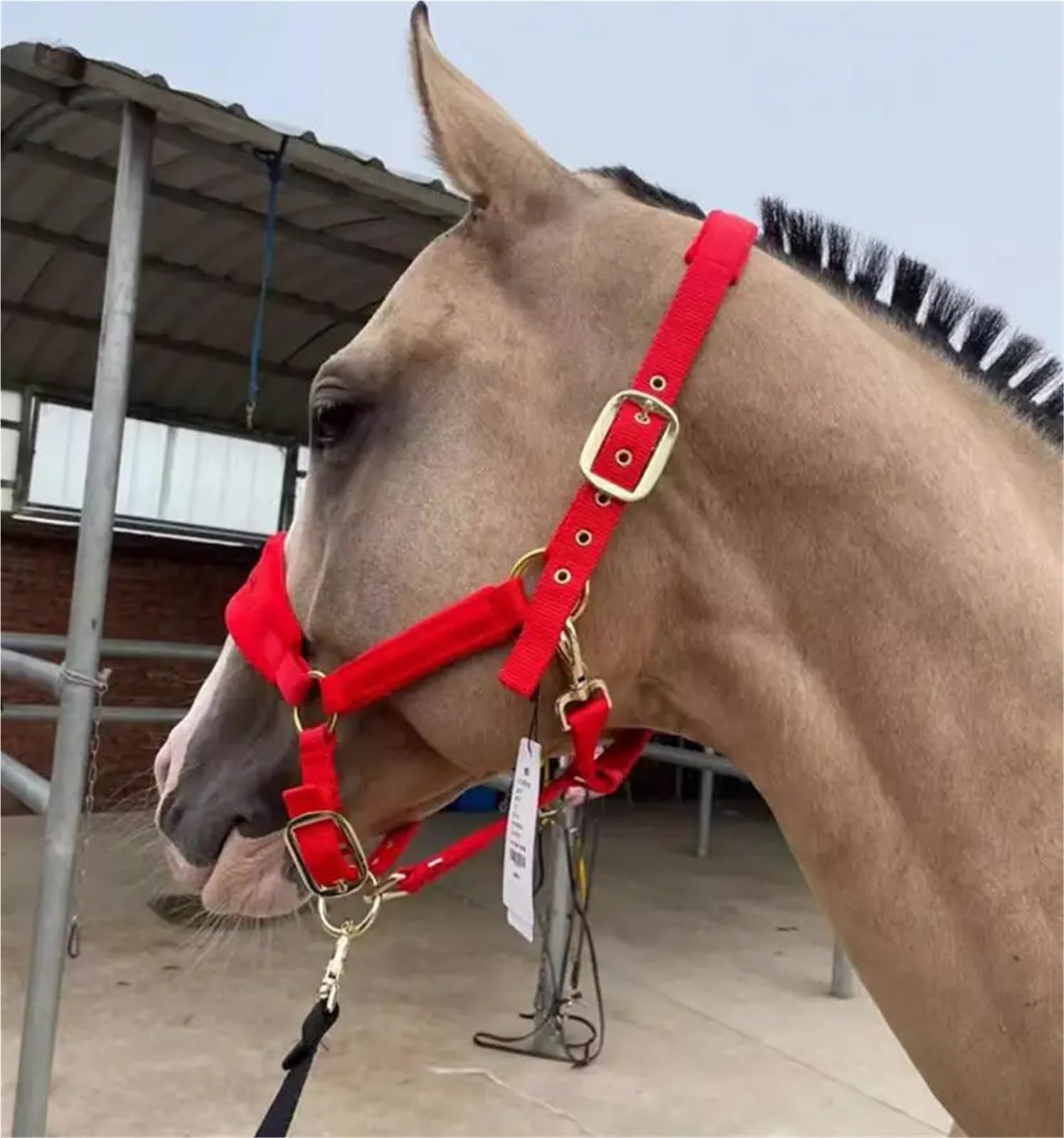 Cabestros de caballo, brida, cabezal , equipo ecuestre grueso, accesorios, arnés for montar a , cabezales(Brown)