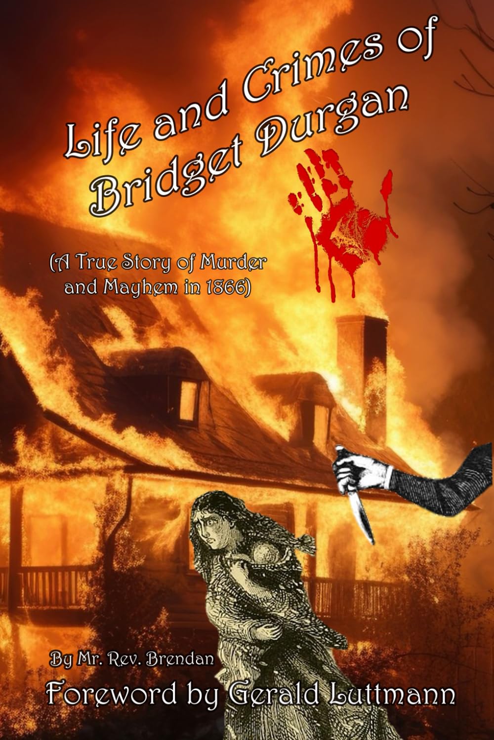 Life and Crimes of Bridget Durgan: (A TRUE Story of Murder and Mayhem in 1866)