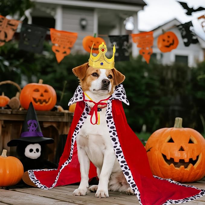 Disfraz de Rey para Perro Grande con Capa y Corona Dorada - Halloween miniatura 4