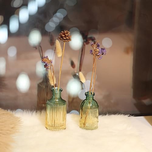 Miniatura 5 de Joeyan Juego de 3 jarrones pequeños de cristal en relieve, color verde y ámbar, para flores individuales y flores secas