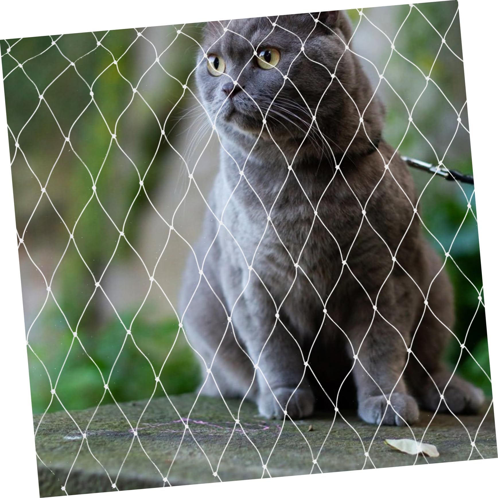 FRCOLOR Schutznetz Katze für Balkon und Fenster Nylon Weiß Reißfest und Kratzfest zur Absturzsicherung für Haustiere