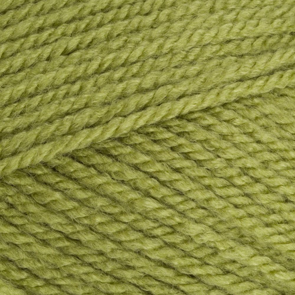 Stylecraft 9051065 Special Aran Meadow (1065) Yarn - 100g