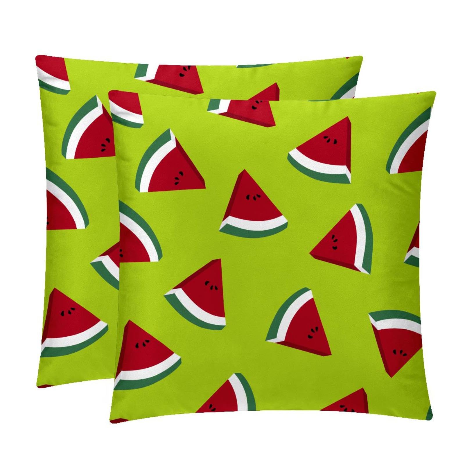 TDGKPZ Watermelon Throw Pillow Cases 2 Pack Pillowcases Zipper Cushion Covers For Bedroom Living Room 45x45cm