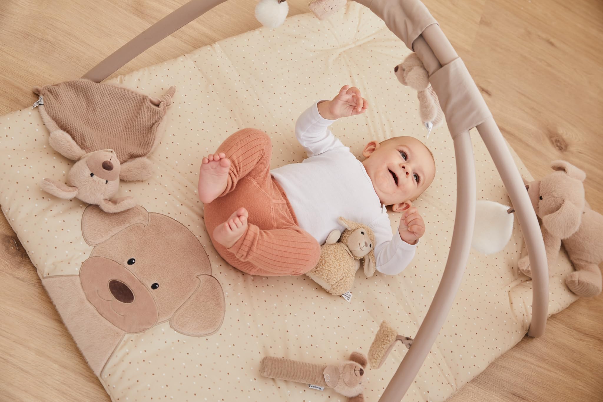 Sterntaler Spielbogen Hund Lucky - Spielbogen aus weichem Flausch, samtigem Velour und bedrucktem Baumwoll Mischgewebe - Baby Spieldecke mit Bogen und Spielfiguren zum Abnehmen, sandfarben