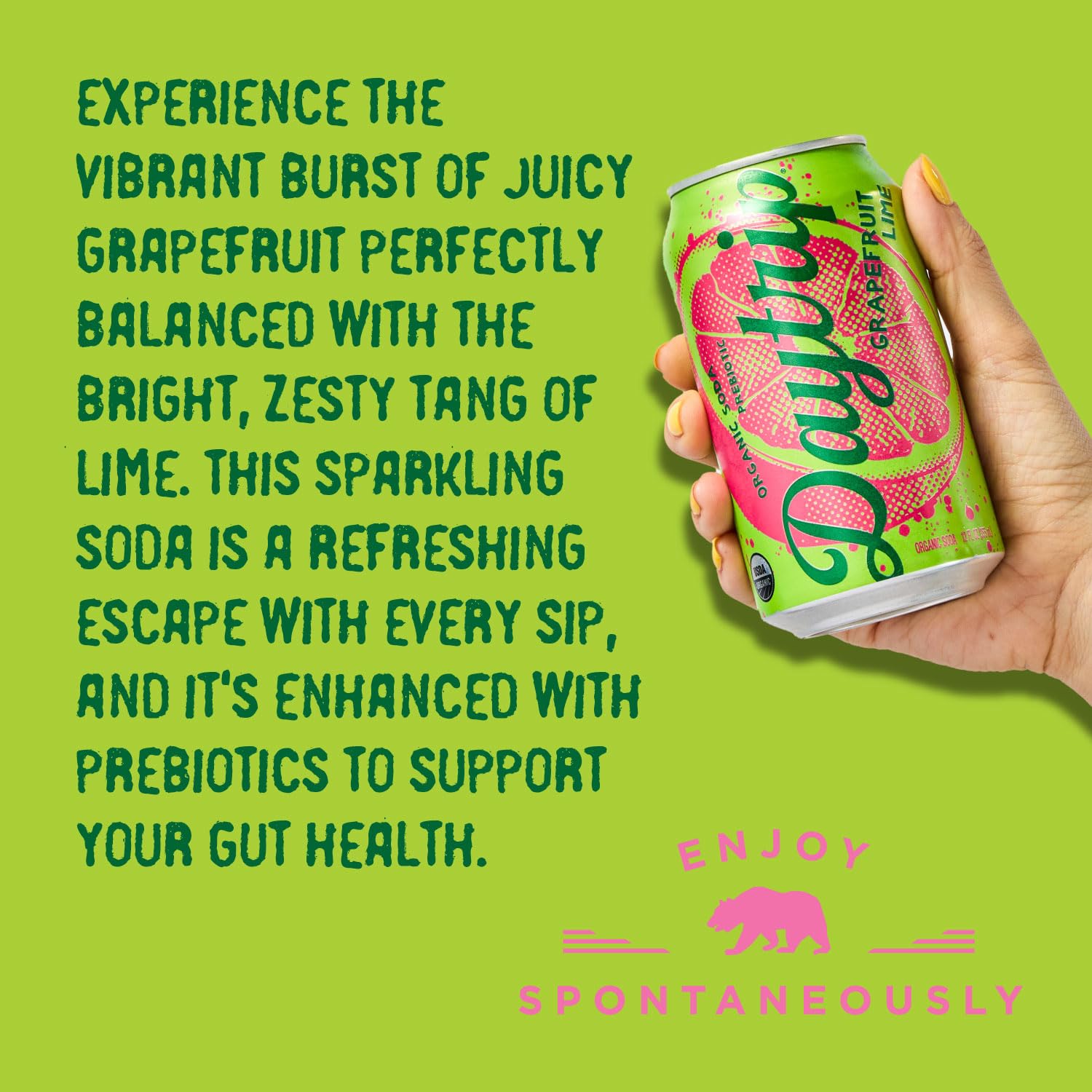Daytrip Organic Sparkling Prebiotic Soda, Low Sugar Soda and Low Calorie Healthy Soda Alternative, Prebiotic Drink for Gut Health Drink and Digestion, Refreshing Functional Beverage with Plant-Based Fiber, 12-Pack - Grapefruit