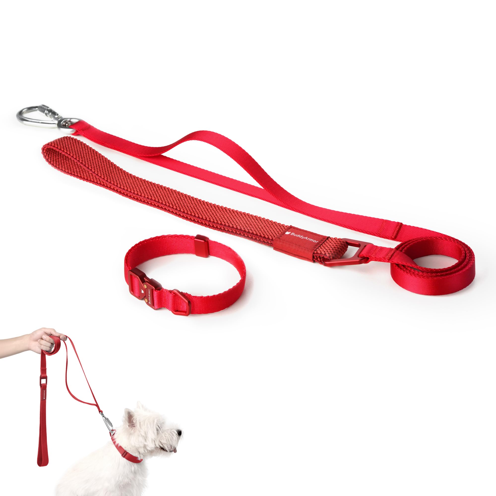Ensemble collier et laisse pour chien de taille petite à moyenne avec boucle en métal