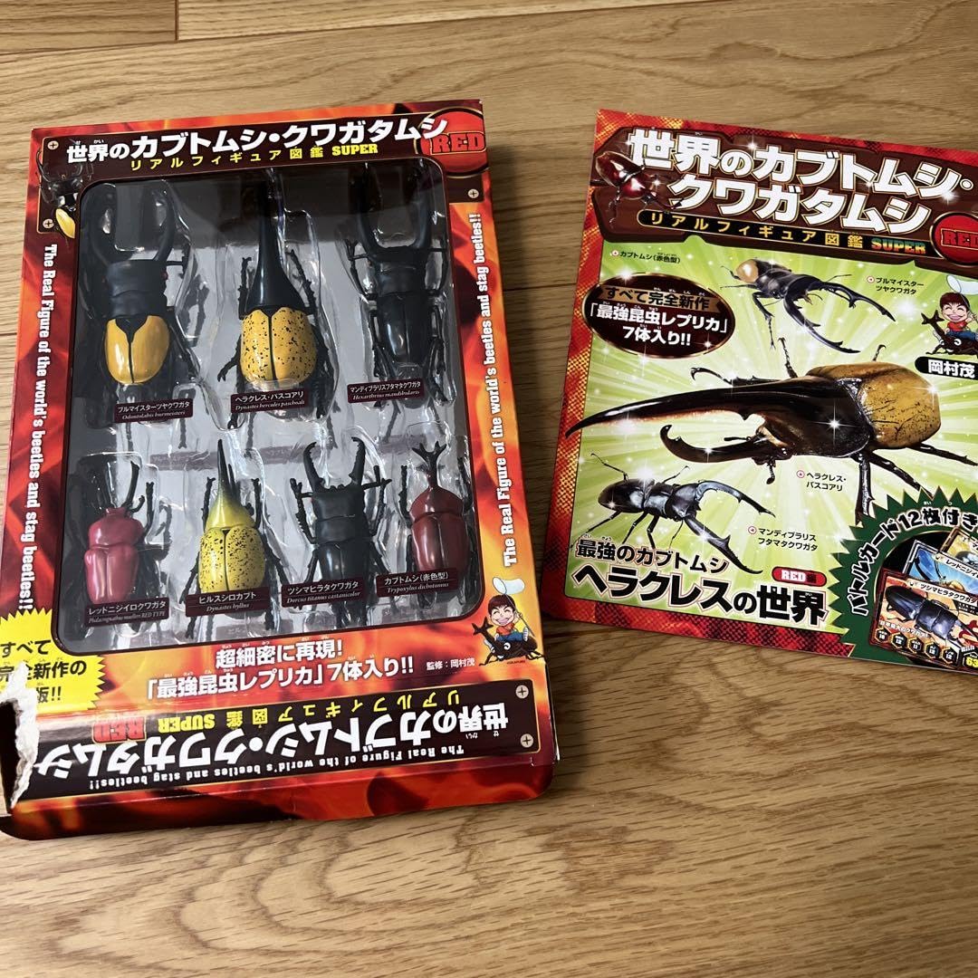 お値下げ終了01113 カタゾウムシ　12頭セットＣ 楽天市場】【DDA】サタンオオカブト 幼虫(1～2令 3頭セット/3令