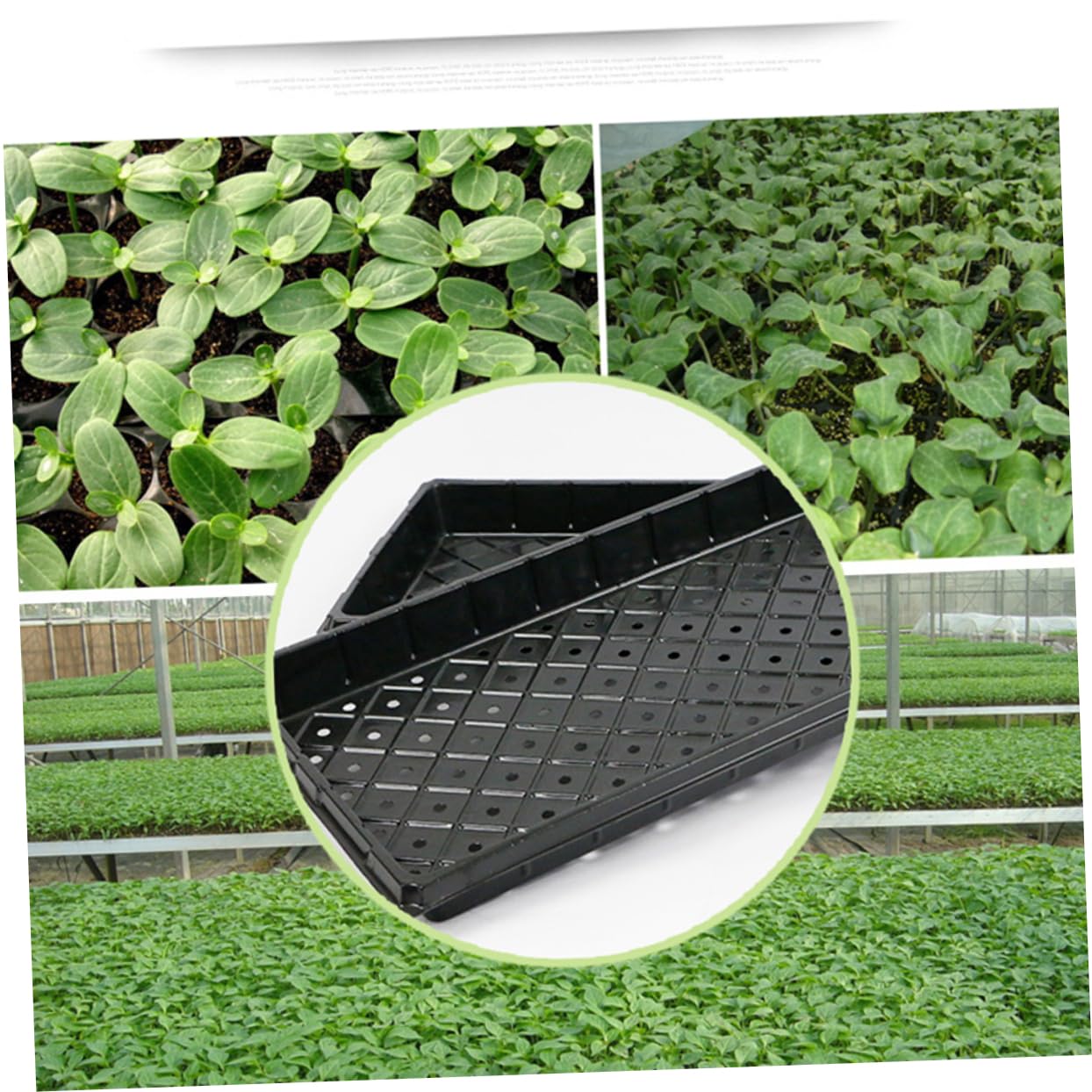 Abaodam Plateau de Semis PVC Noir Lot de 5, Respirant, Réutilisable