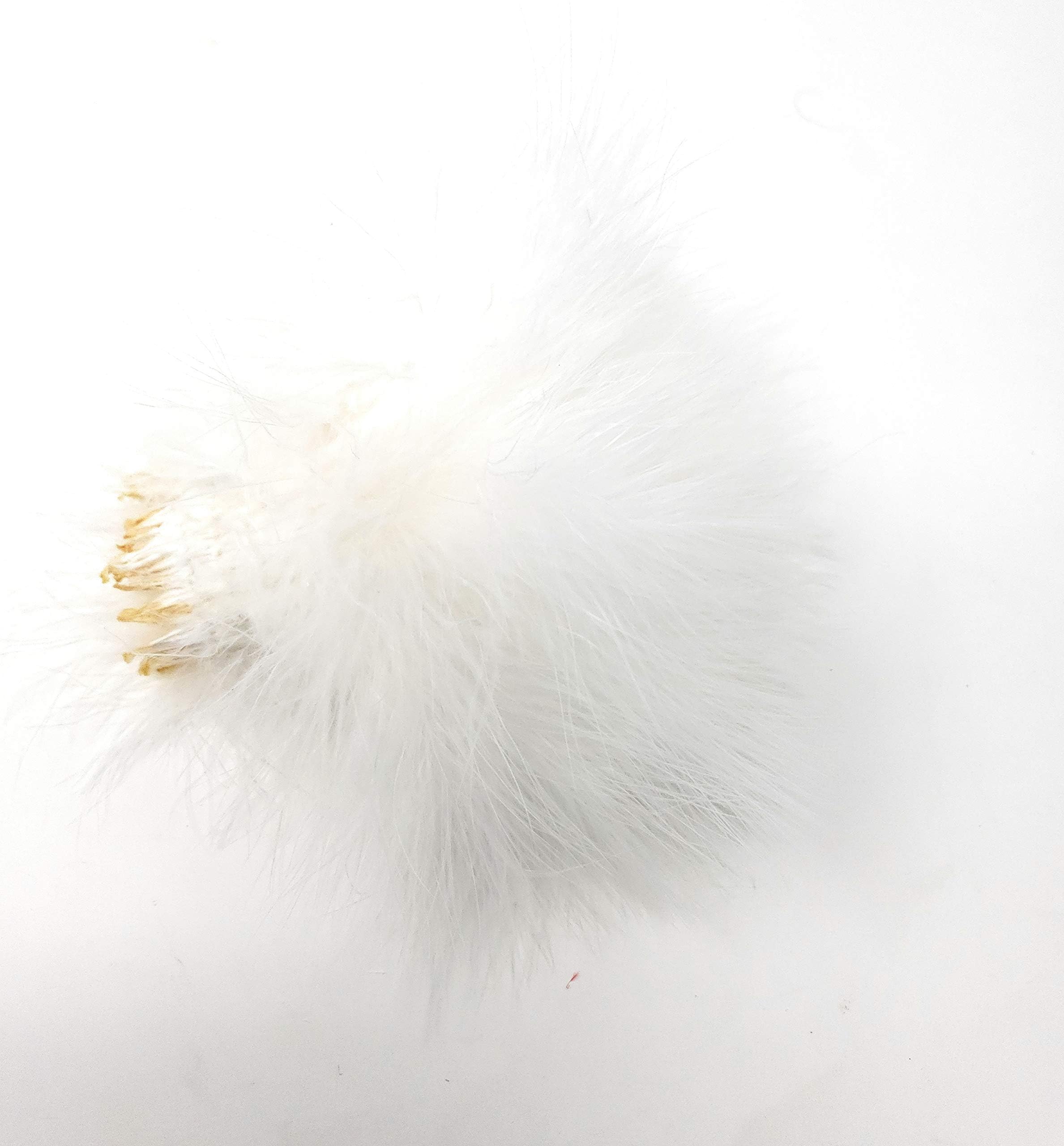 Creative Angler Strung Marabou Bird Feathers for Tying Fly Fishing Flies - Fly Tying Accessories - Perfect Choice for Tail & Wings and Easy to Tie On The Lure