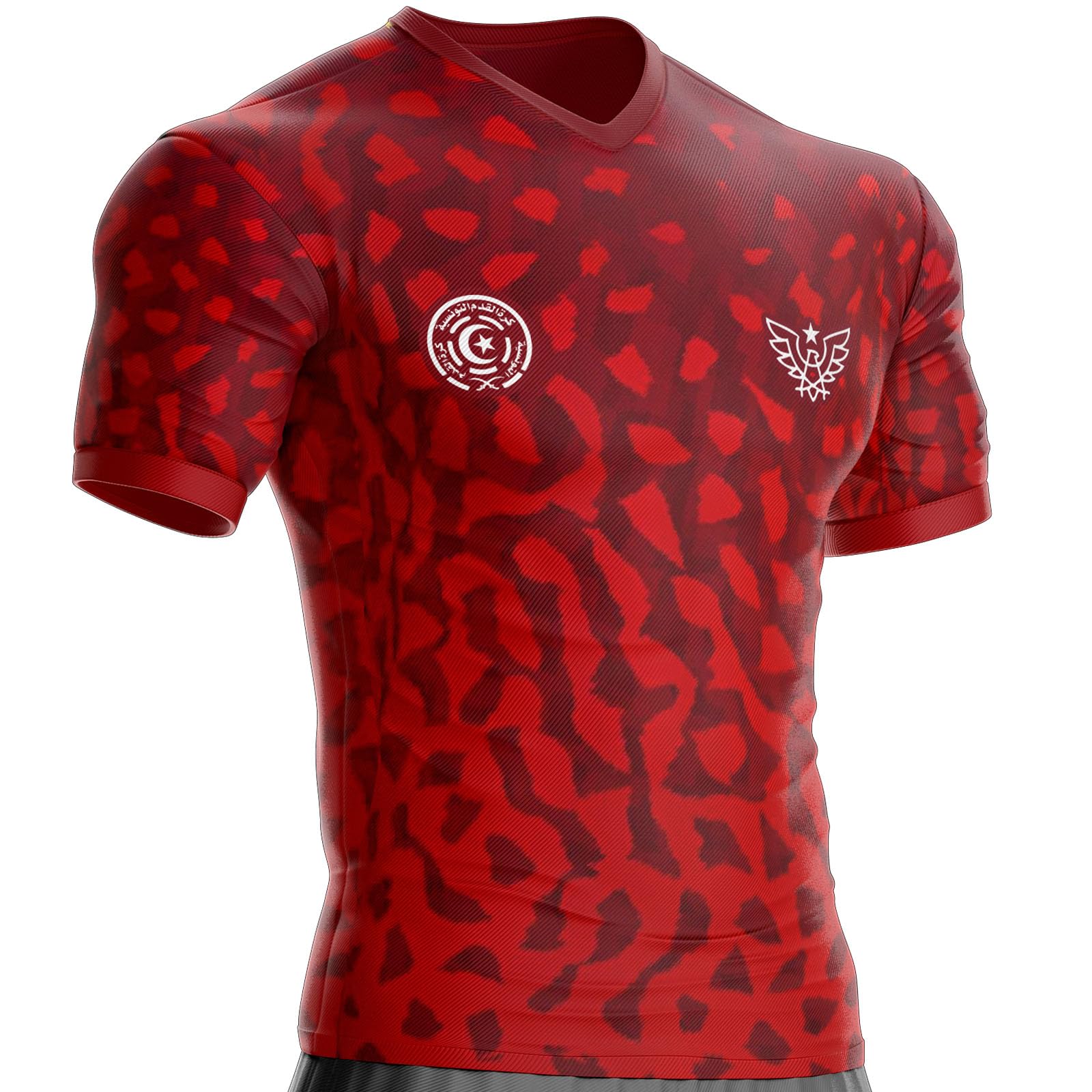 Tunisia Football Jersey TN-63 Tunisian Flag, Red, M : Amazon.ca