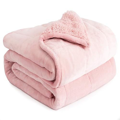 Cottonblue Weighted Blanket Queen Size 15lbs, Sherpa Weighted Blankets for Adults, Fuzzy Soft Flannel Bedding Blanket Throw, Cozy Plush Blanket for Sofa Bed, 60 x 80 inches, Blush Pink - Blush Pink - 60 x 80 15 lb