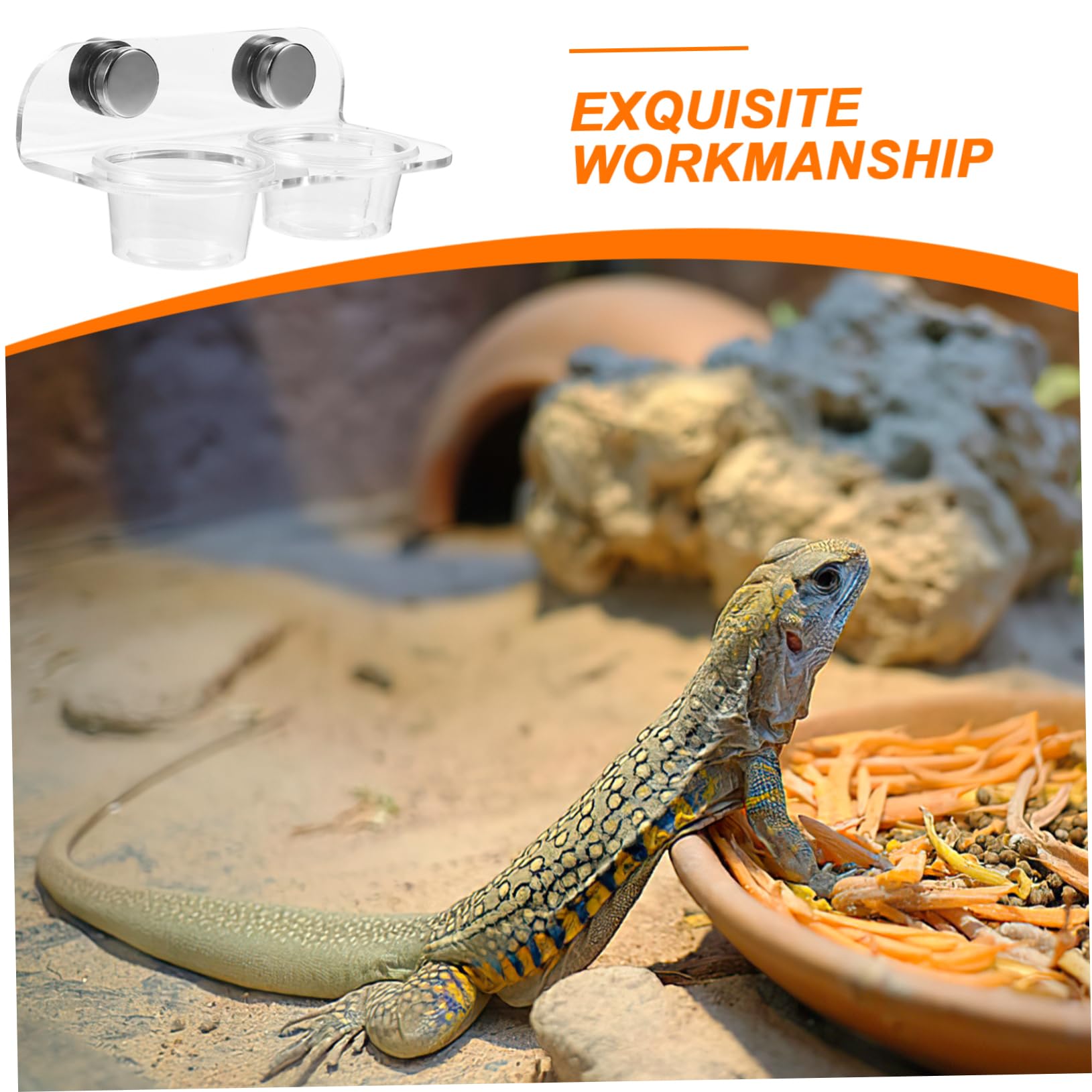 2juegos Comedero De Magnético para Reptiles Tazón De Agua y Comida para Tortugas y para Alimentación y De Limpiar y