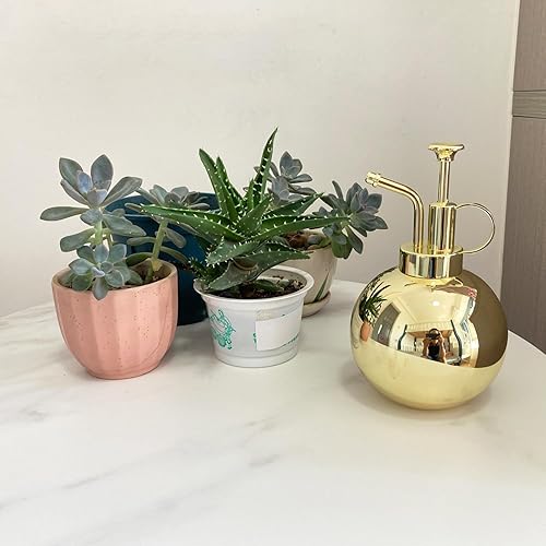 Miniatura 10 de Plant Mister - Botella pulverizadora de acero inoxidable para plantas, regadera pequeña, botella rociadora de plantas, herramientas modernas de