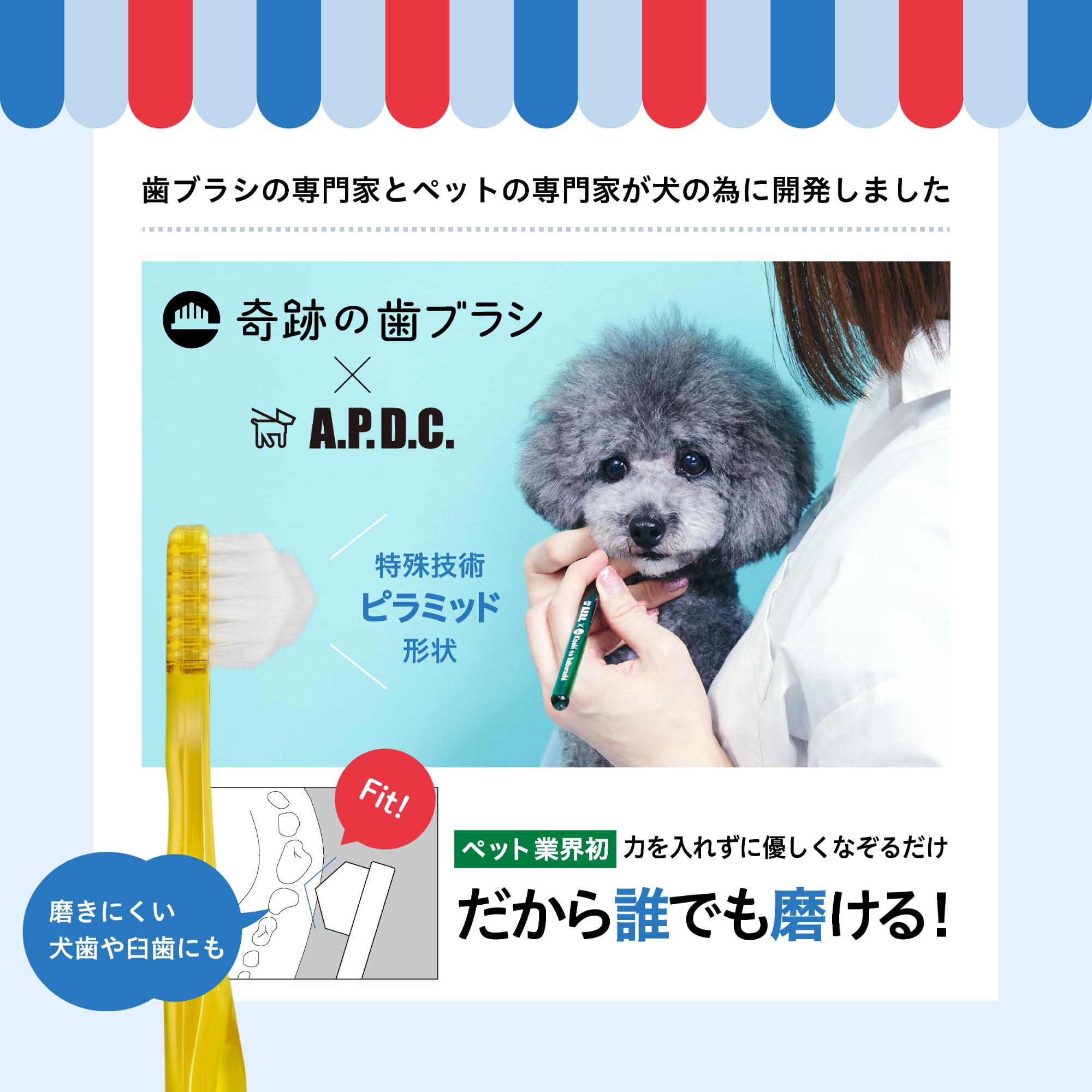 Amazon | A.P.D.C. ペット用 奇跡の歯ブラシ (小型犬用) 2本セット
