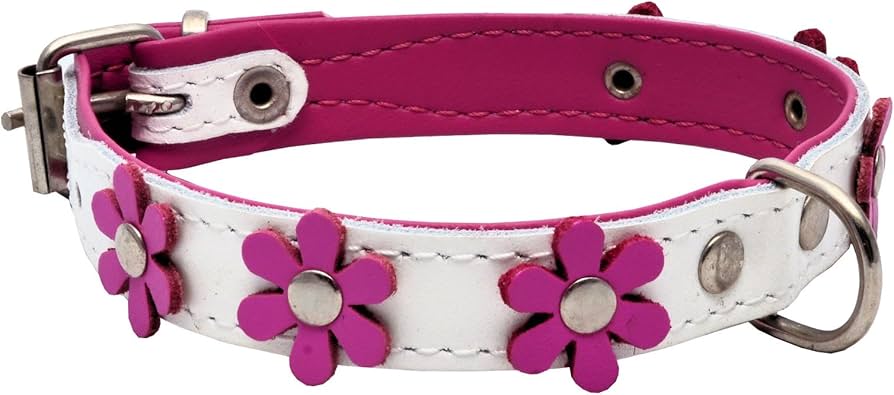 デイジーフラワー、わんちゃん猫ちゃん用首輪 デイジーフラワー、わんちゃん猫ちゃん用首輪 - メルカリ