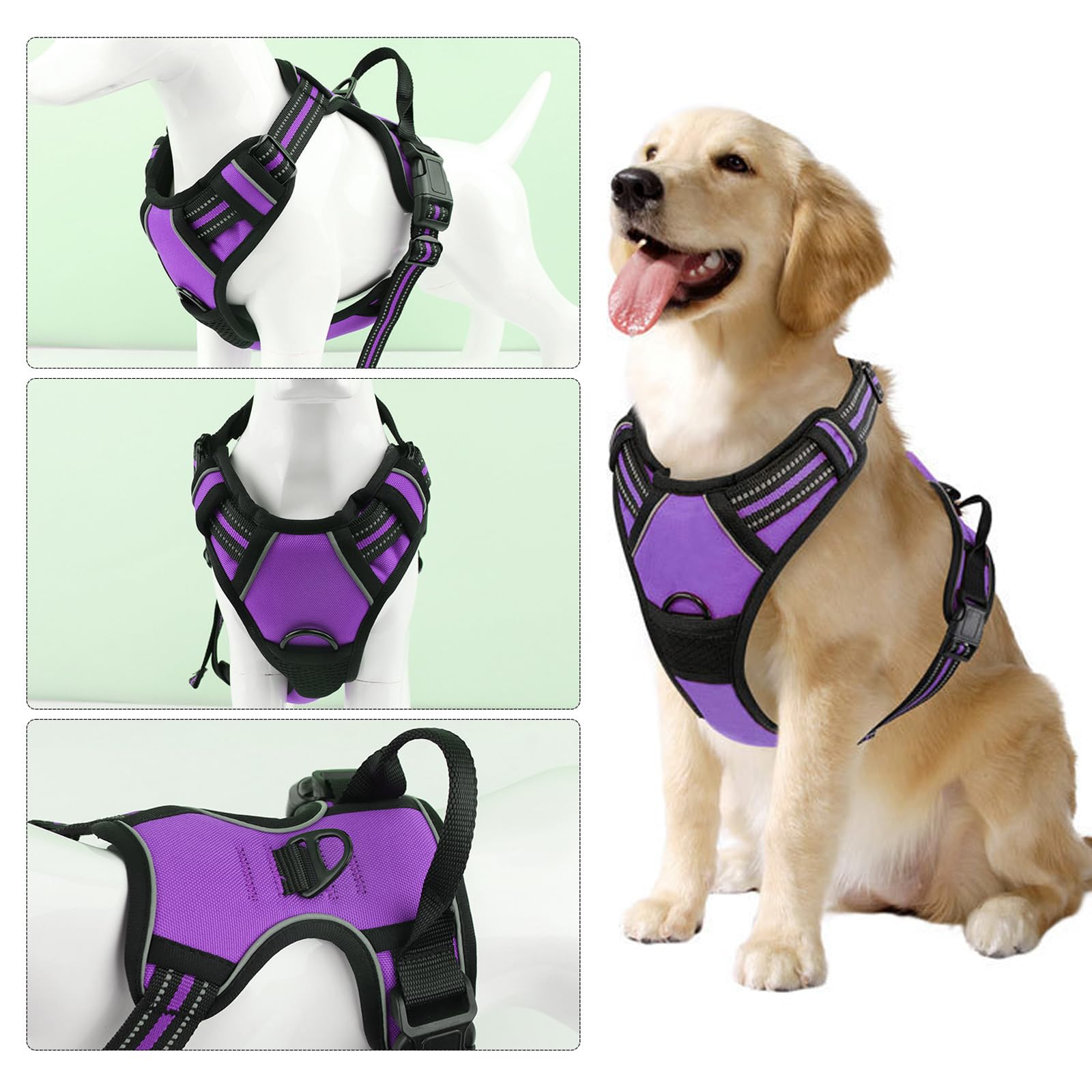 DKDDSSS Harnais Chien No Pull, Harnais Anti Traction pour Chien, Moyen, Violet M