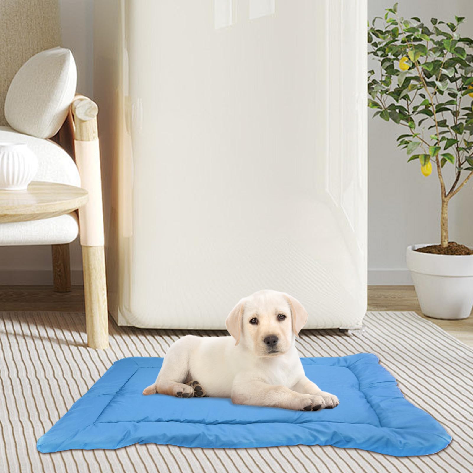 Cuccia Esterna Impermeabile per Cane Per Taglie Piccola, Media, Grande, | Letti Portatili per Cani da Campeggio e Viaggio Articoli Animali da Esterno