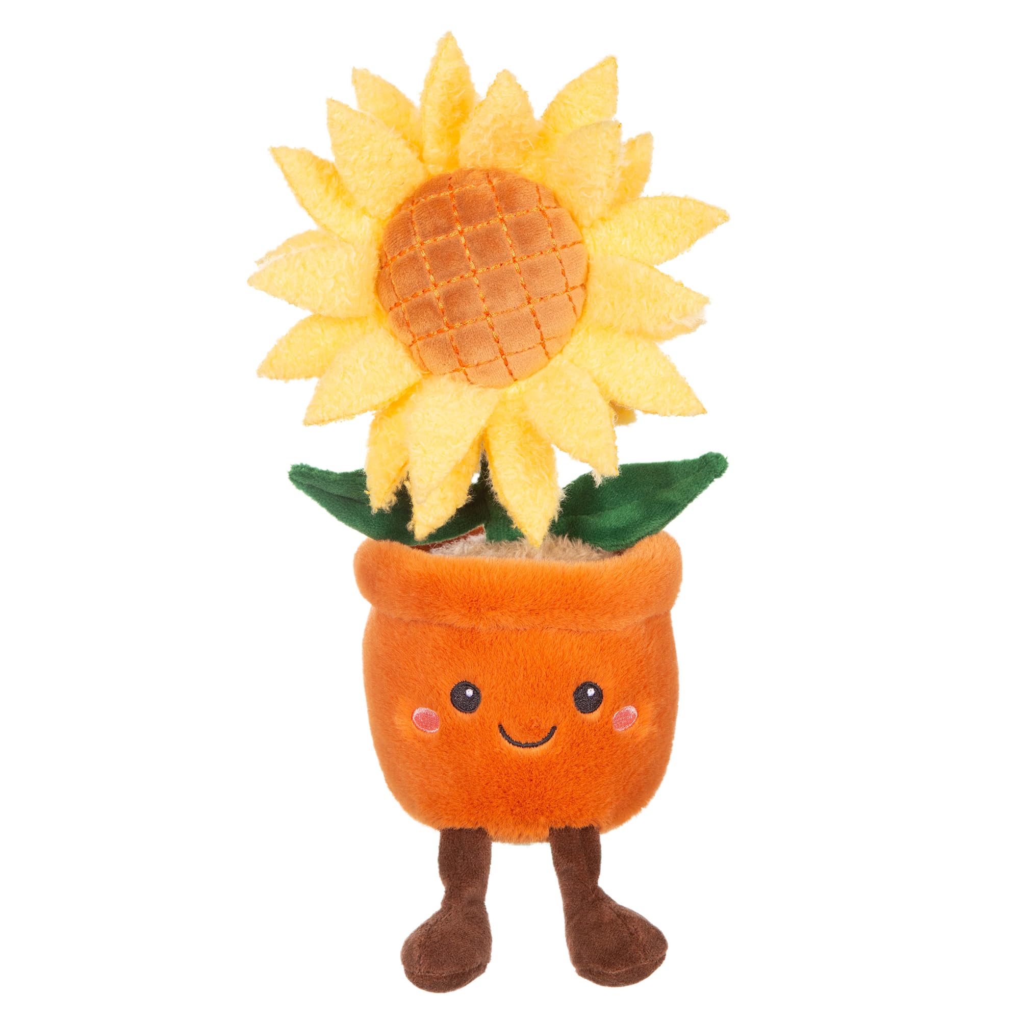 Tournesol - Pot Orange