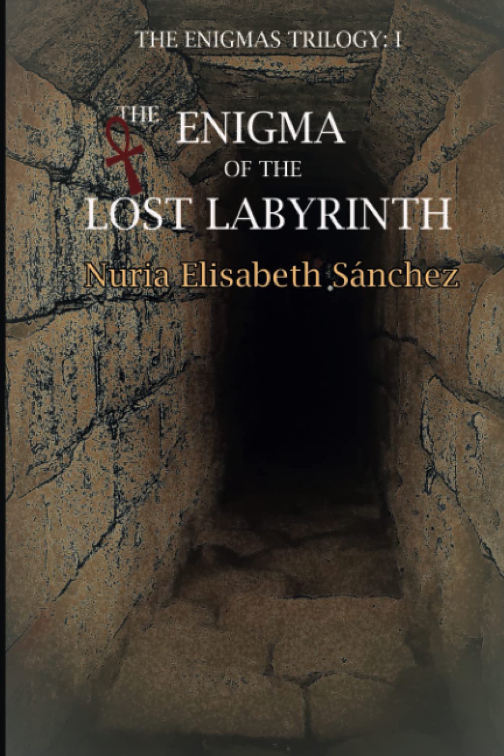 The Enigma of the Lost Labyrinth: The Enigmas Trilogy: I