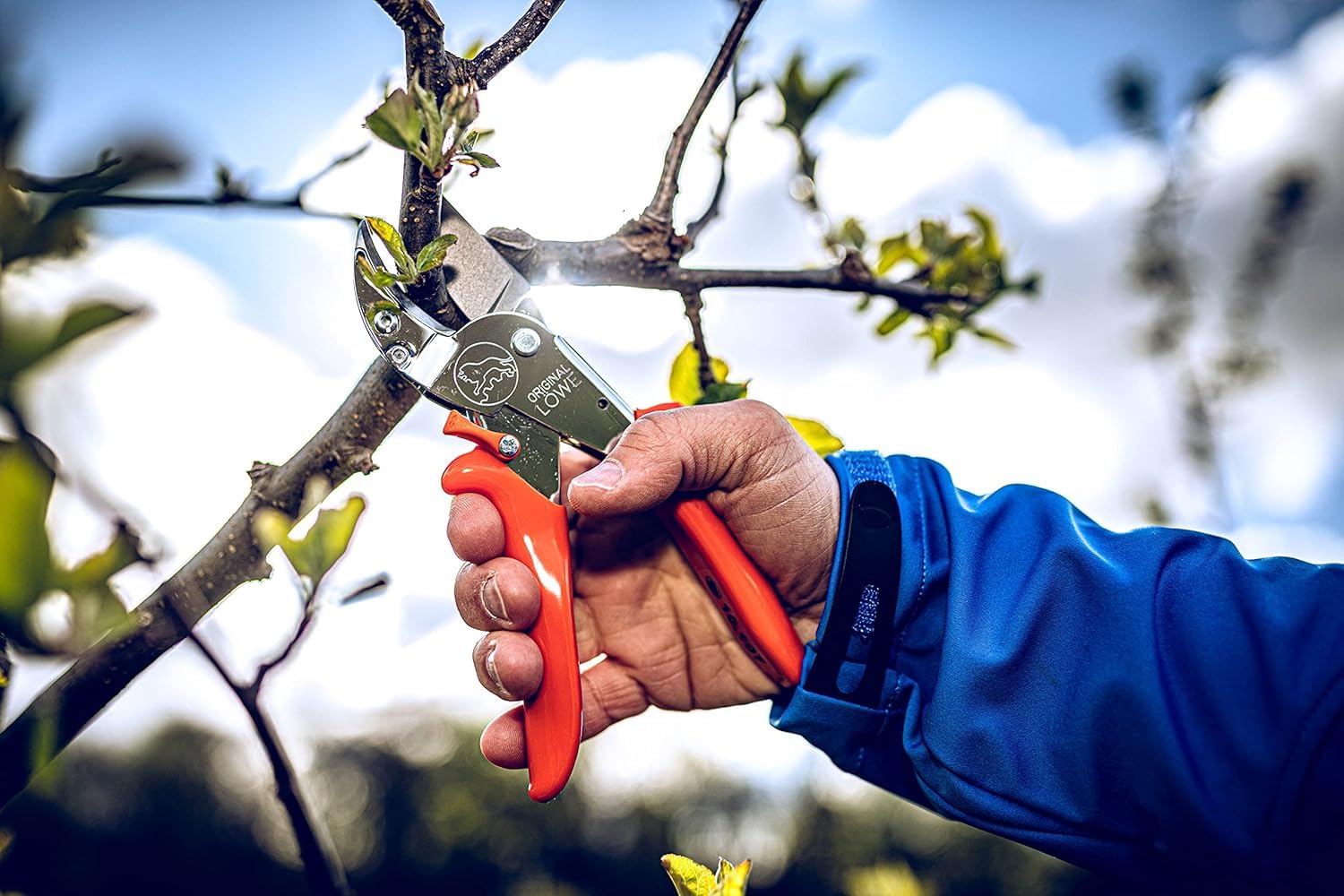 Original LÖWE 10 cesoie professionali da giardino 10.107 con geometria bypass, forbici affilate con manici ergonomici e rivestimento antiaderente su lama in acciaio