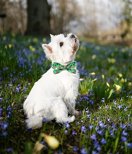 Miniatura 5 de DOGWONG Collar de perro de trébol de la suerte verde con corbatín, suave y ajustable para el día de San Patricio, collar de cachorro para perros