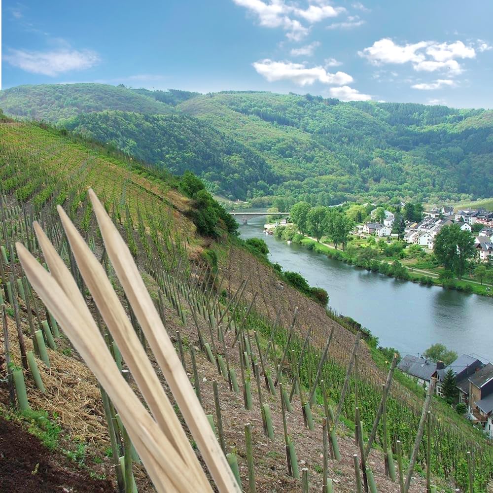 Lot de 25 piquets en bois dur - 150 cm - Tuteurs en chêne - Poteaux en bois de chêne pointus