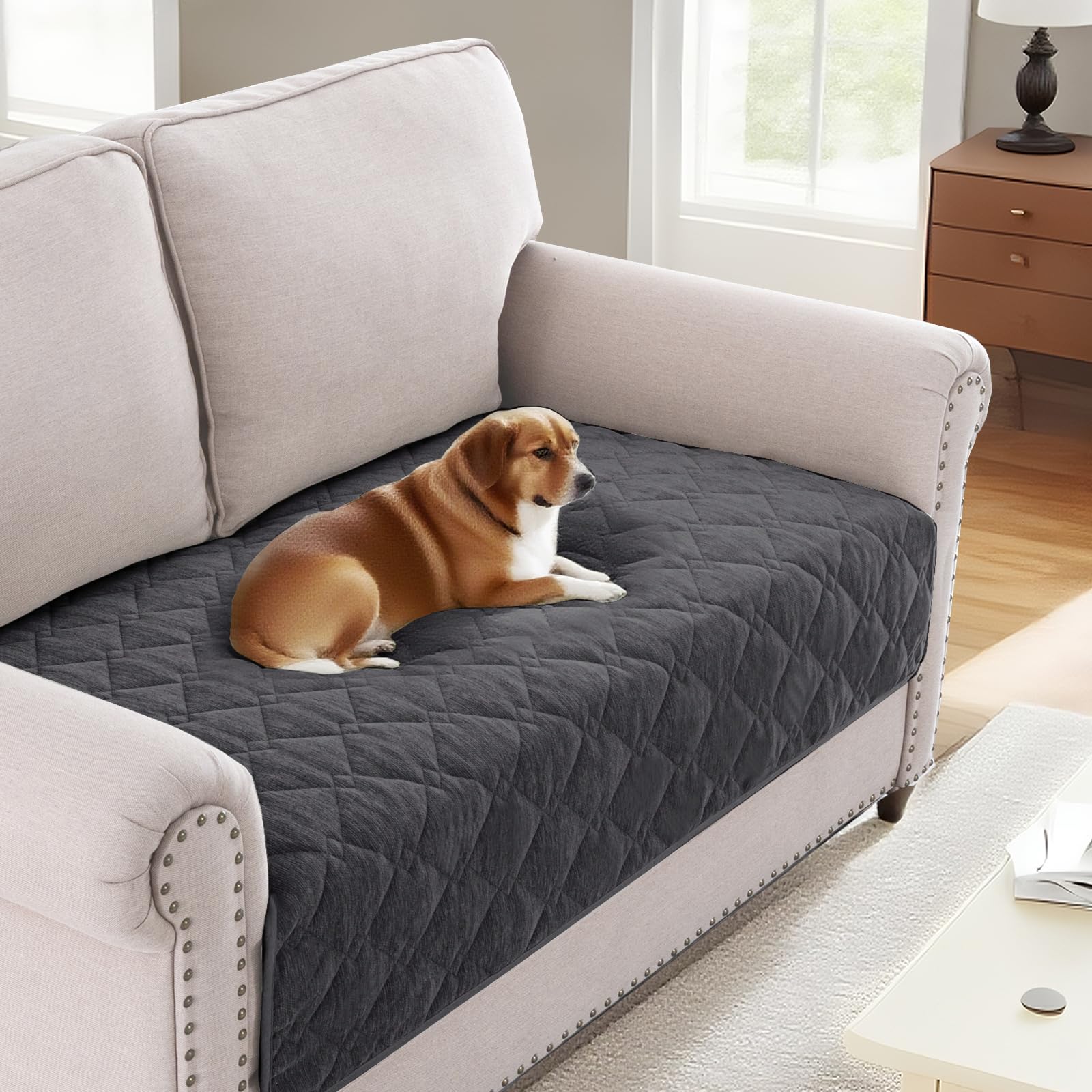 BellaHills Soft Chenille Sofa Cover Pet Fuzzy Sofa Covers 2 Seater Anti Slip Sofa Slipcovers with Strap Couch Cover for Dogs Cats Kids Furniture Protector Washable (90 x 160cm, Grey)