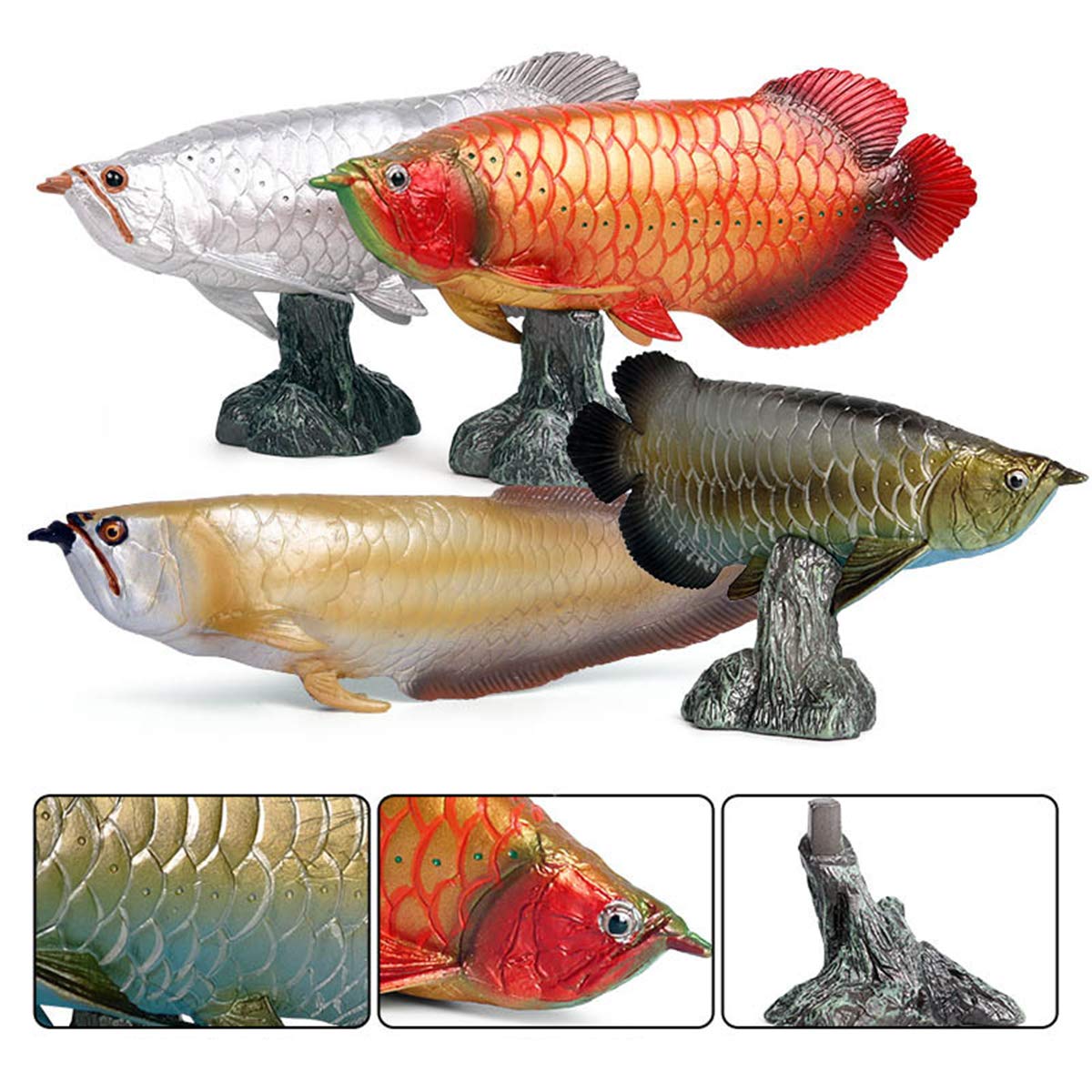Amazon.co.jp: Eden Toys アジアアロワナ 紅龍 龍魚 淡水魚 プラモデル