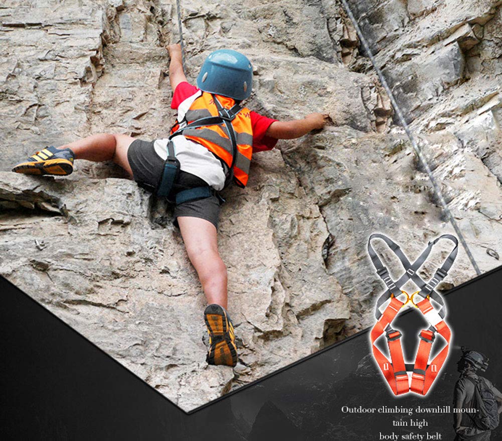 Harnais d'escalade Enfant, Baudrier Escalade Enfant Harnais de Sécurité pour Alpinisme, Escalade, Rappel, Convient aux débutants, 3-14 ans, Sûr et confortable
