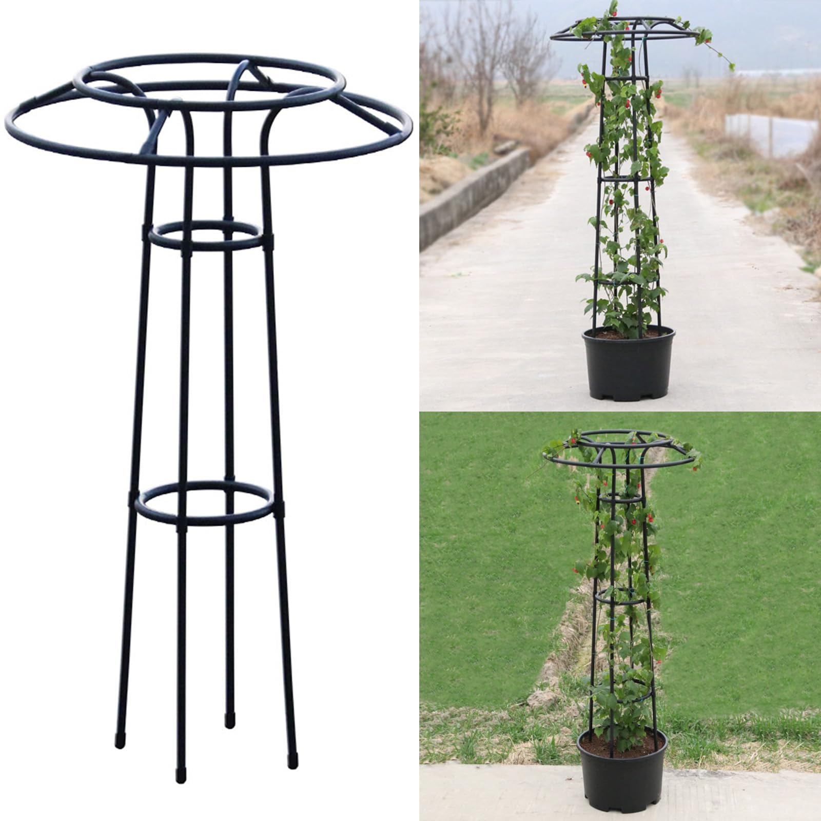 Obstspalier Metall Garten Klettern Breite Stretch Bänder für vertikale Gartenarbeit Drachenfrucht Reben Pflanze