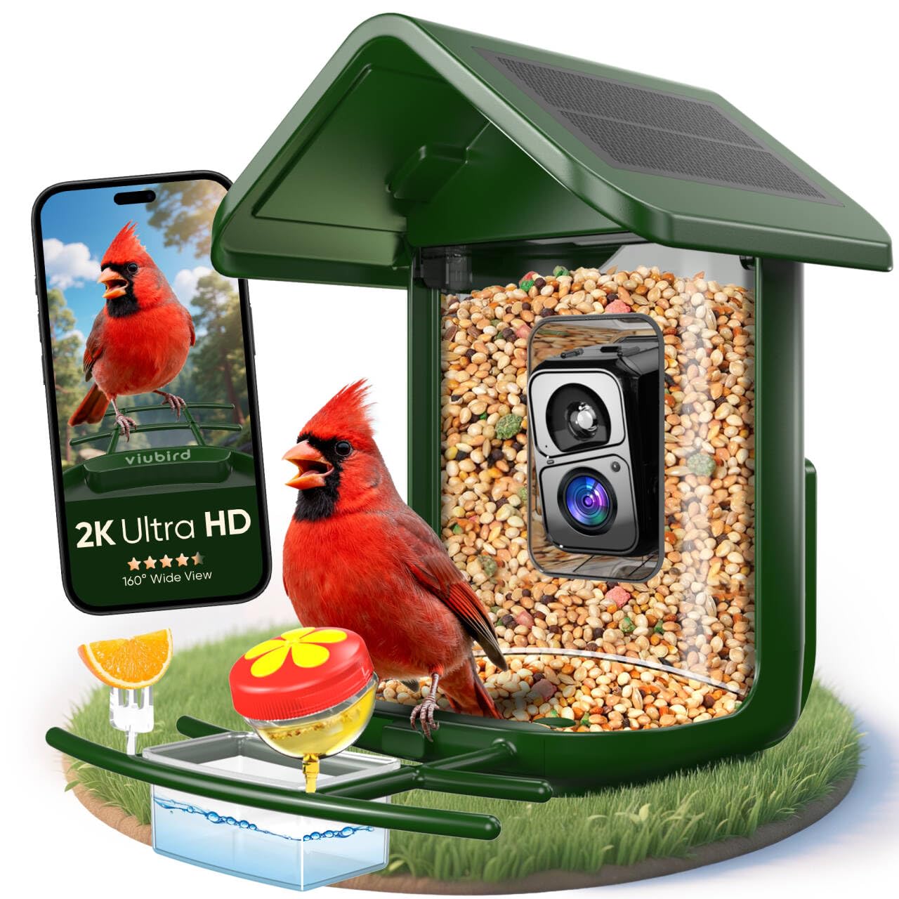 VIUBIRD 2K HD Bird Feeder