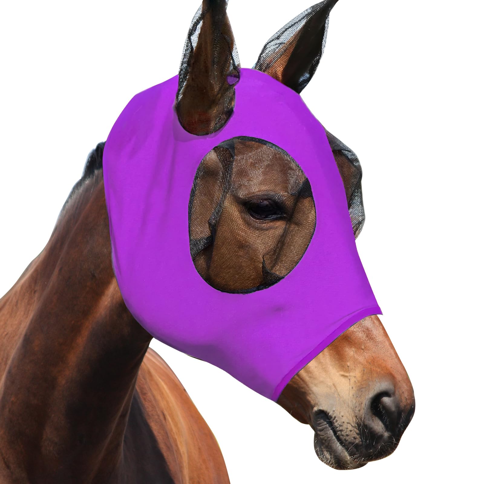 Masque Anti-mouches Pour Cheval Darryy – Protection UV, Maille Respirante, élastique, Taille M, Noir
