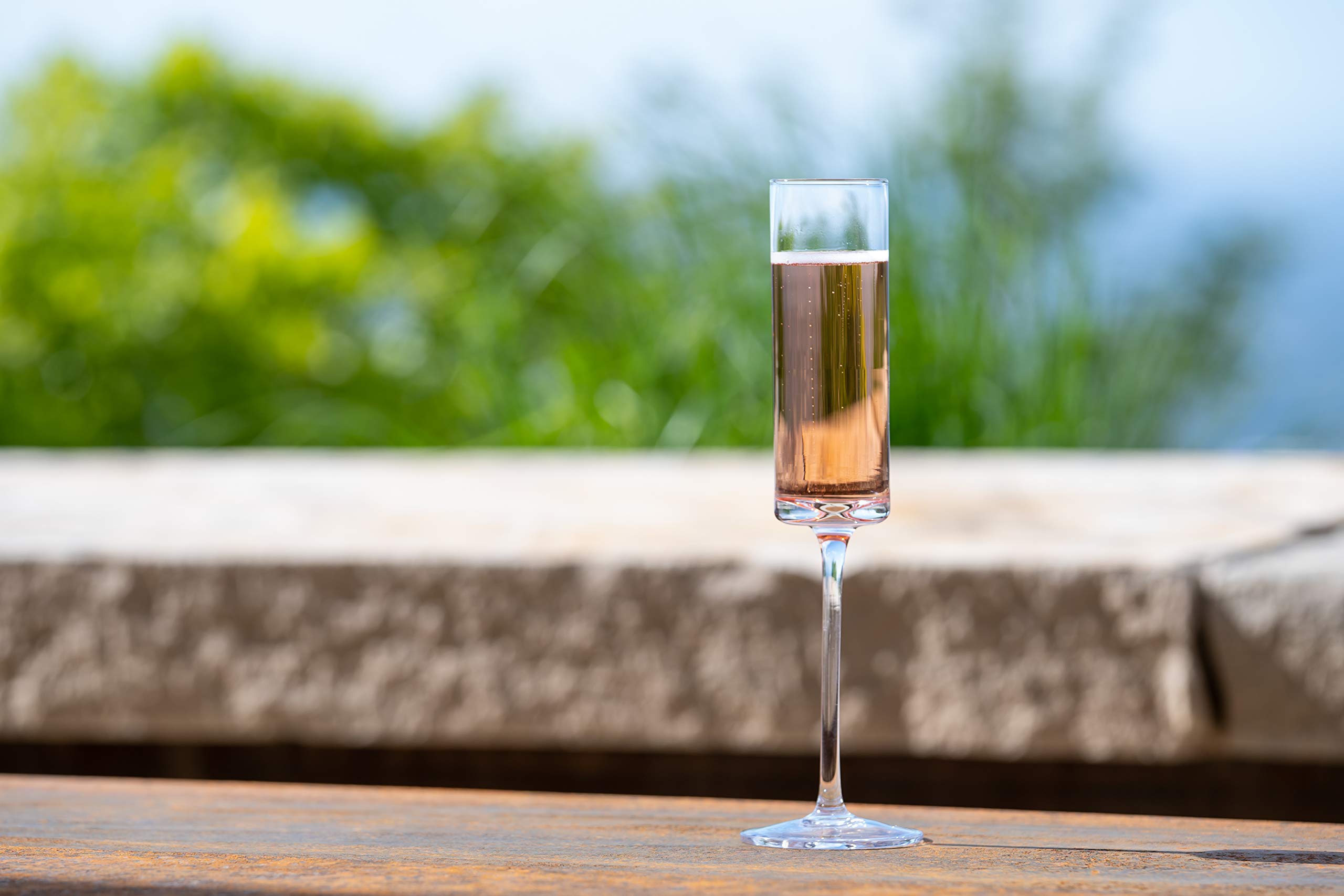 Aspen & Birch Modern Champagne Flutes Set of 6 Champagne Glasses