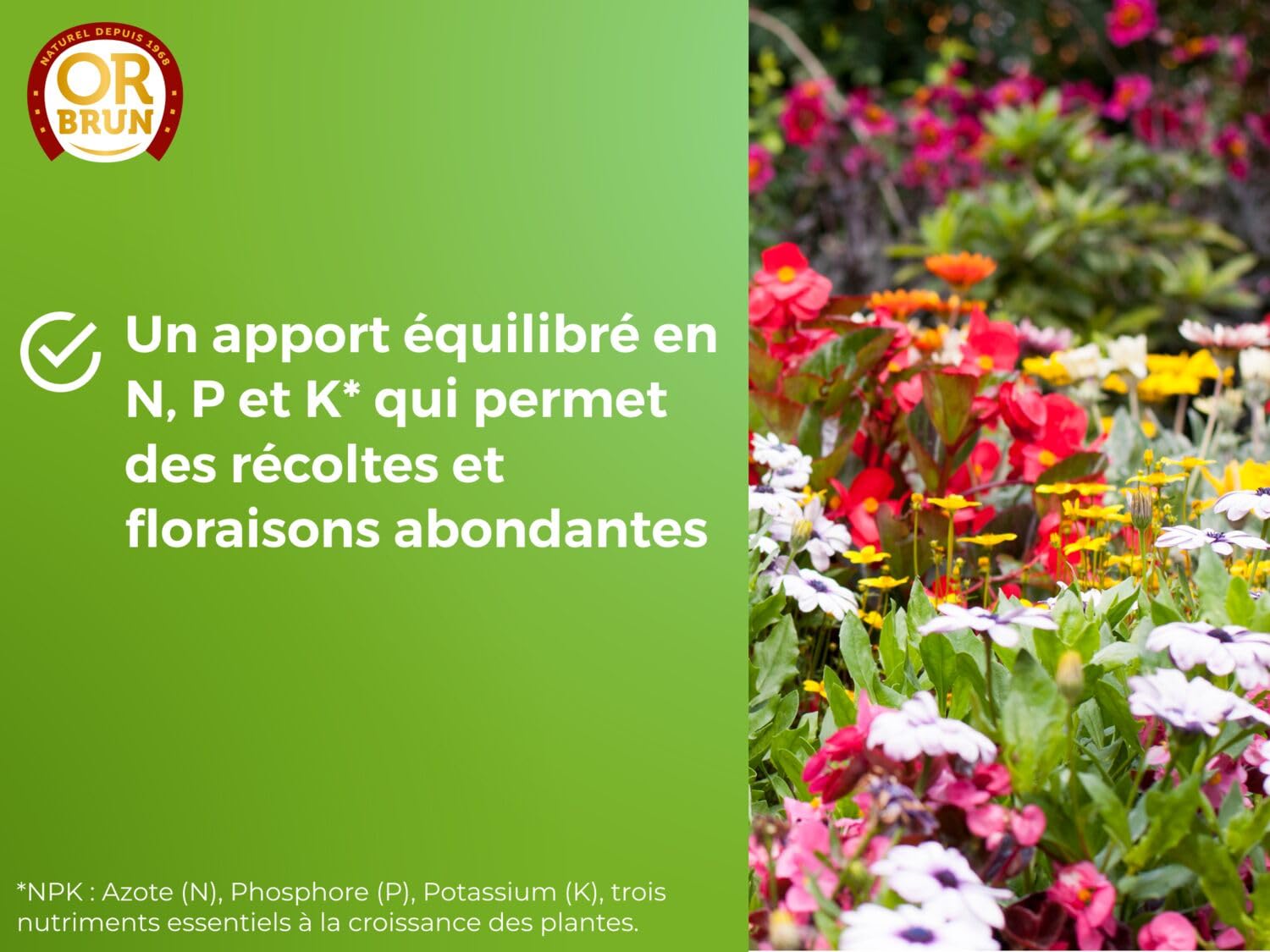 OR BRUN Engrais Universel - 1L - Nourrit Les Plantes & Améliore La Floraison - Fabriqué En France - Utilisable En Agriculture Biologique OBRECLUNI1 (Lot de 3)