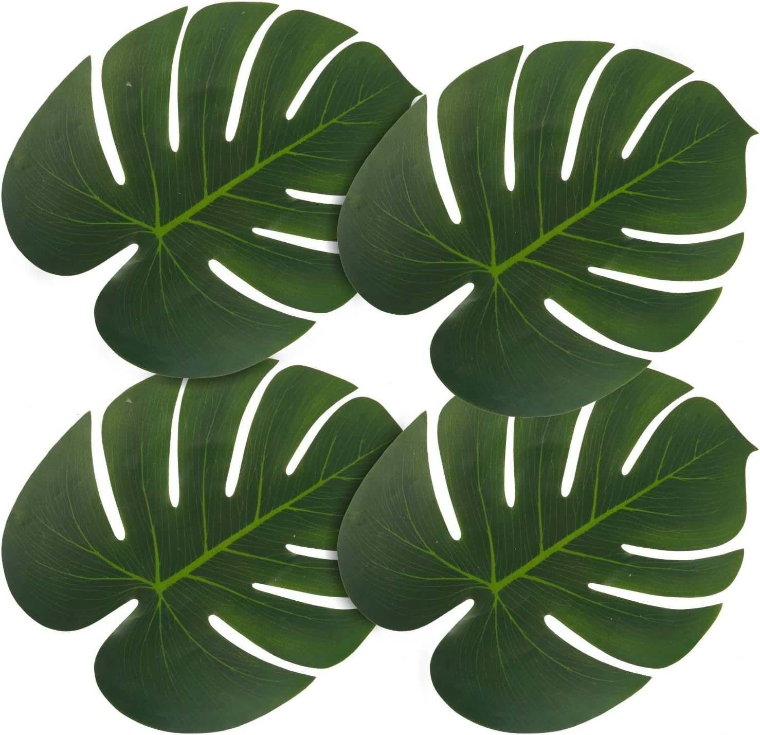 monstera deliciosa fruit price Monstera Deliciosa main image 1