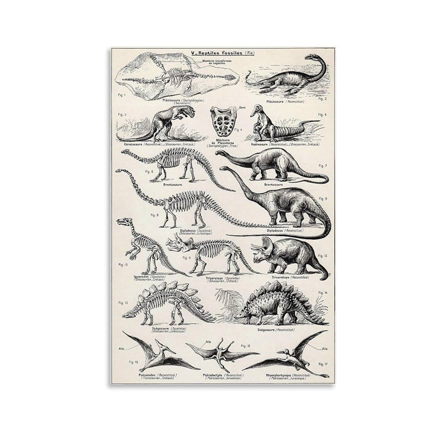 Amazon.co.jp: CYPGTBCK ヴィンテージ恐竜ポスター 恐竜 化石