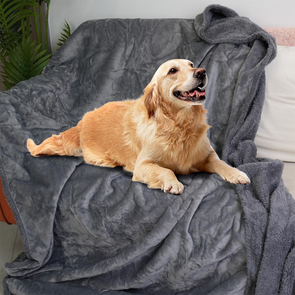Manta impermeable para mascotas, manta reversible de forro polar sherpa para perros y gatos, manta de franela cálida y calmante para sofá, cama, protección de asiento de coche (café claro, 145