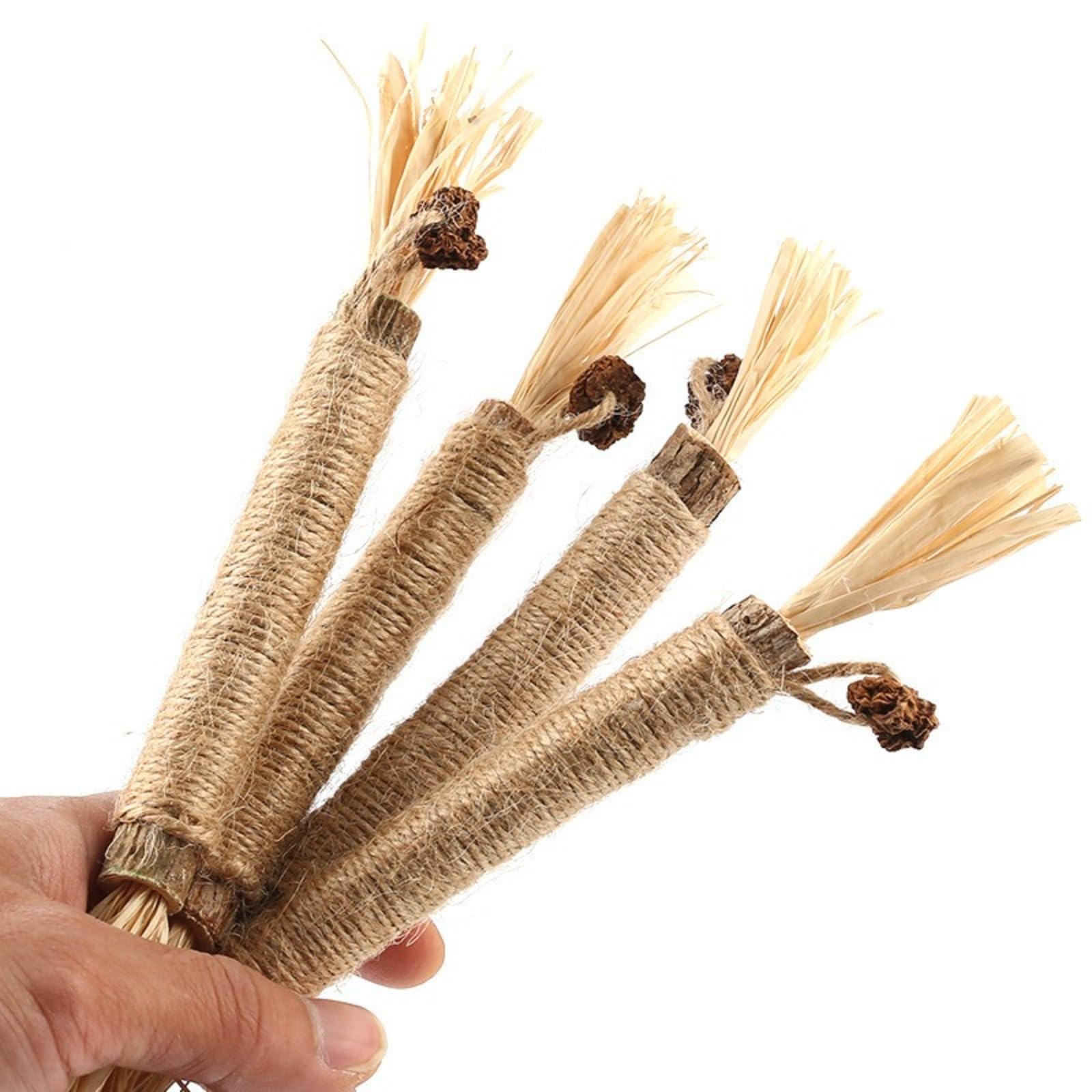 Bâtonnets Naturels pour Chats – Jouet Dentaire à Mâcher, Nettoyage des Dents & Haleine Fraîche – Anti-Stress & Anti-Ennui, Lot de 5/10/20,Bâtonnets à mâcher pour Chats, Jouets à mâcher pour Chats
